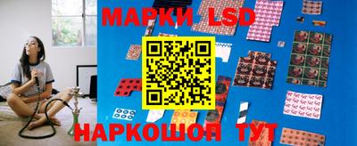 СК Шахты