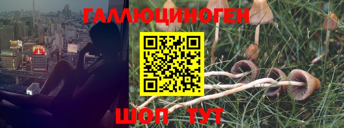 Большой Камень  Псилоцибиновые грибы Magic Shrooms  Вход с VPN  Галлюциногенные грибы мицелий 