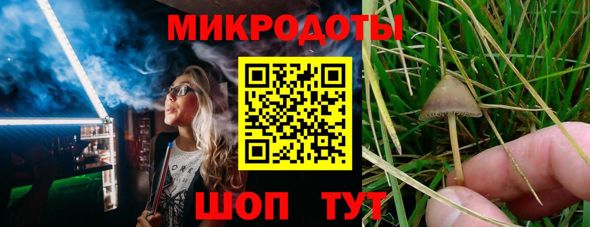 Галлюциногенные грибы GOLDEN TEACHER Большой Камень